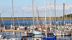 A marina with multiple sailboats docked, a wooden dock, and a grassy shoreline in the background.