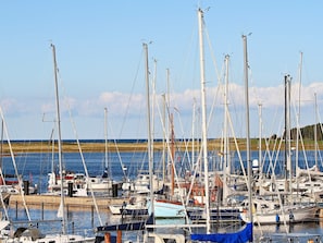 A marina with multiple sailboats docked, a wooden dock, and a grassy shoreline in the background.