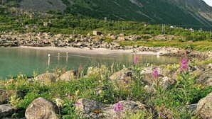 Un paysage côtier caractérisé par une côte rocheuse, une eau claire et une montagne en arrière-plan.
