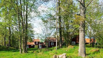 A rural setting with a house surrounded by trees and a grassy area.