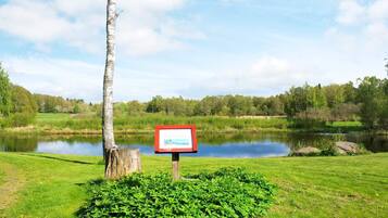A serene lakeside setting with a signboard, a birch tree, and lush greenery.