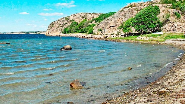 A coastal landscape with clear water, rocky shore, and a cliff with vegetation. - Holiday Home in Fjällbacka (Fjallbacka)