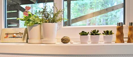 A kitchen counter with potted plants, a small decorative item, and salt and pepper shakers.