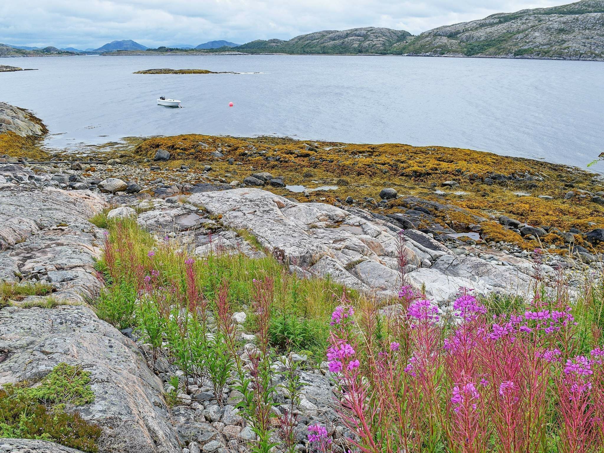 A rocky shoreline with sparse vegetation and a body of water in the background.