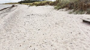 A sandy beach with a wooden bench and sparse vegetation.