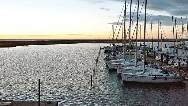 A marina with multiple sailboats docked, calm water, and a distant shoreline.