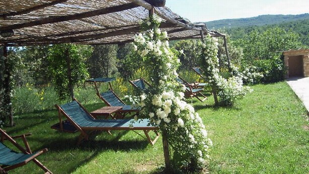 Ein rustikaler Außenbereich mit Holzliegen und einer Pergola.