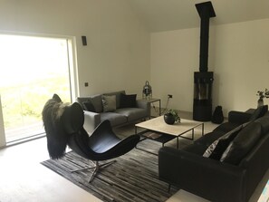 30-Zoll-Fernseher mit Satellitenempfang, Kamin