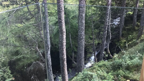A wooden deck with a view of a forested area. - Red Stag With Stunning Loch and Waterfall View (Crianlarich)