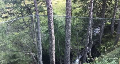 Red Stag With Stunning Loch and Waterfall View