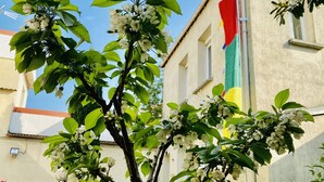 Un arbre aux fleurs blanches devant un bâtiment sur lequel flotte un drapeau.