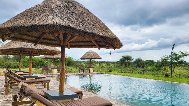 A pool area with lounge chairs and thatched umbrellas.