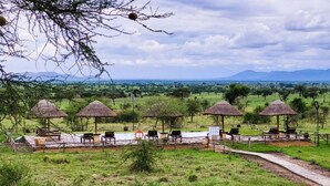 A safari lodge with thatched-roof gazebos, outdoor seating, and a view of the savannah.