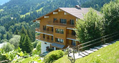 studio cabine face au Mont Blanc