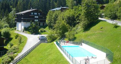 studio cabine face au Mont Blanc