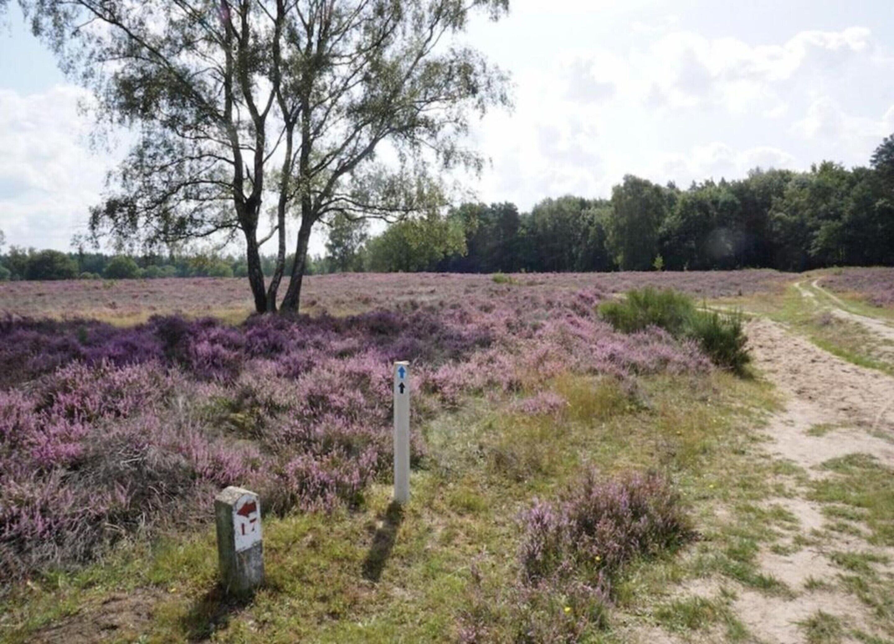 Utsikt fra overnattingsstedet