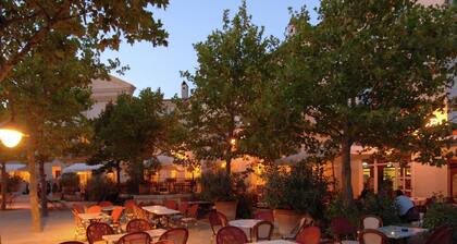 Comfortable Holiday Home in Authentic Provencal Village