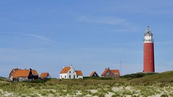 Eksteriør