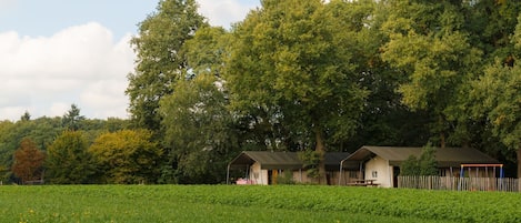 Zelt | Aussenbereich