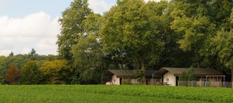 Luxury Lodge in Twente With Meadow Views