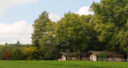 Luxury Lodge in Twente With Meadow Views