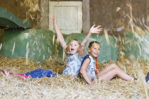Tent | Children’s area - Luxury Lodge in Twente With Meadow Views (Haaksbergen)
