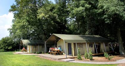 Luxury Lodge in Twente With Meadow Views