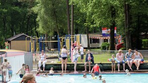 Outdoor pool - Cozy Chalet in a Natural Environment (IJhorst)