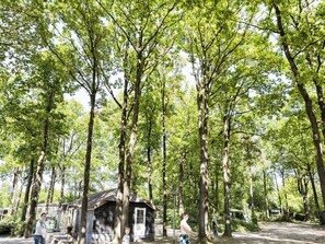 Exterior - Cozy Chalet in a Natural Environment (IJhorst)