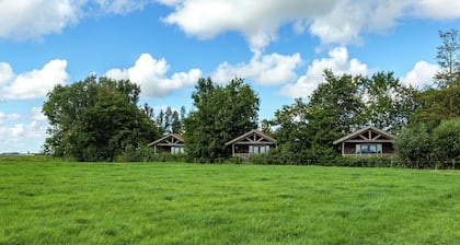 Picturesque Holiday Home in Westergeest With Roof Terrace