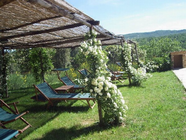 Property grounds - Lodging in Casole Elsa,Siena,pool,Wi-Fi,terrace,barbecue,family friendly,sleep 7 (Casole d'Elsa)