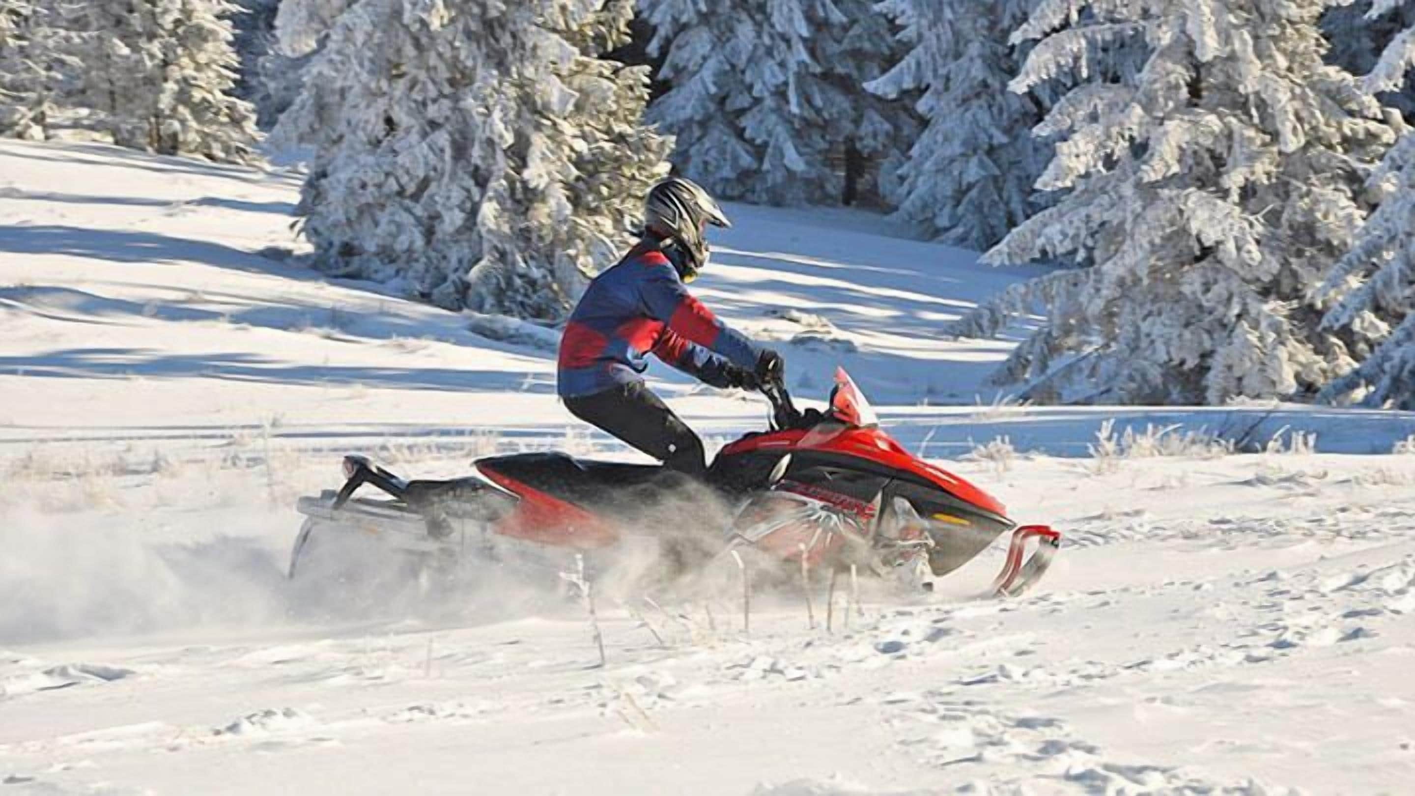 Uma pessoa andando de motossonho em uma paisagem nevada com árvores ao fundo.