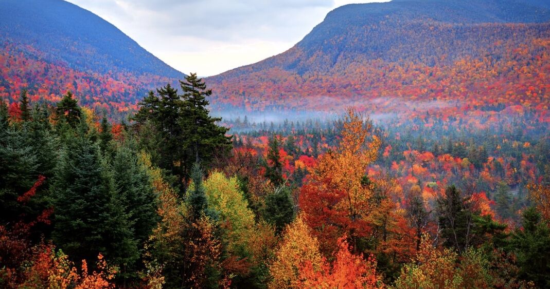 children’s activities