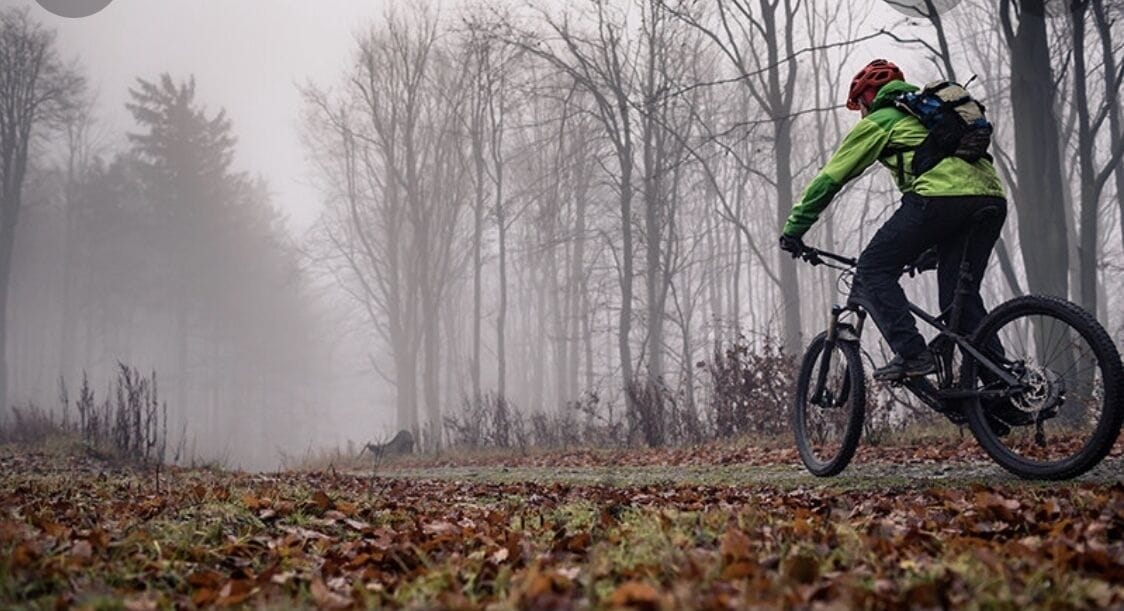 A person riding a mountain bike in a forested area with fog.