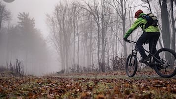 A person riding a mountain bike in a forested area with fog.