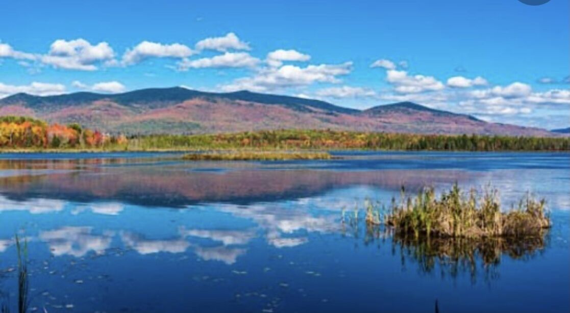 children’s activities