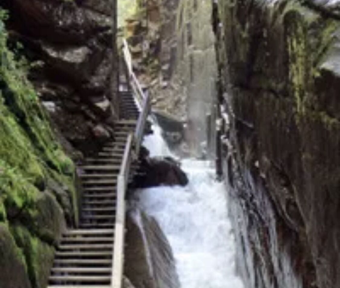 children’s activities