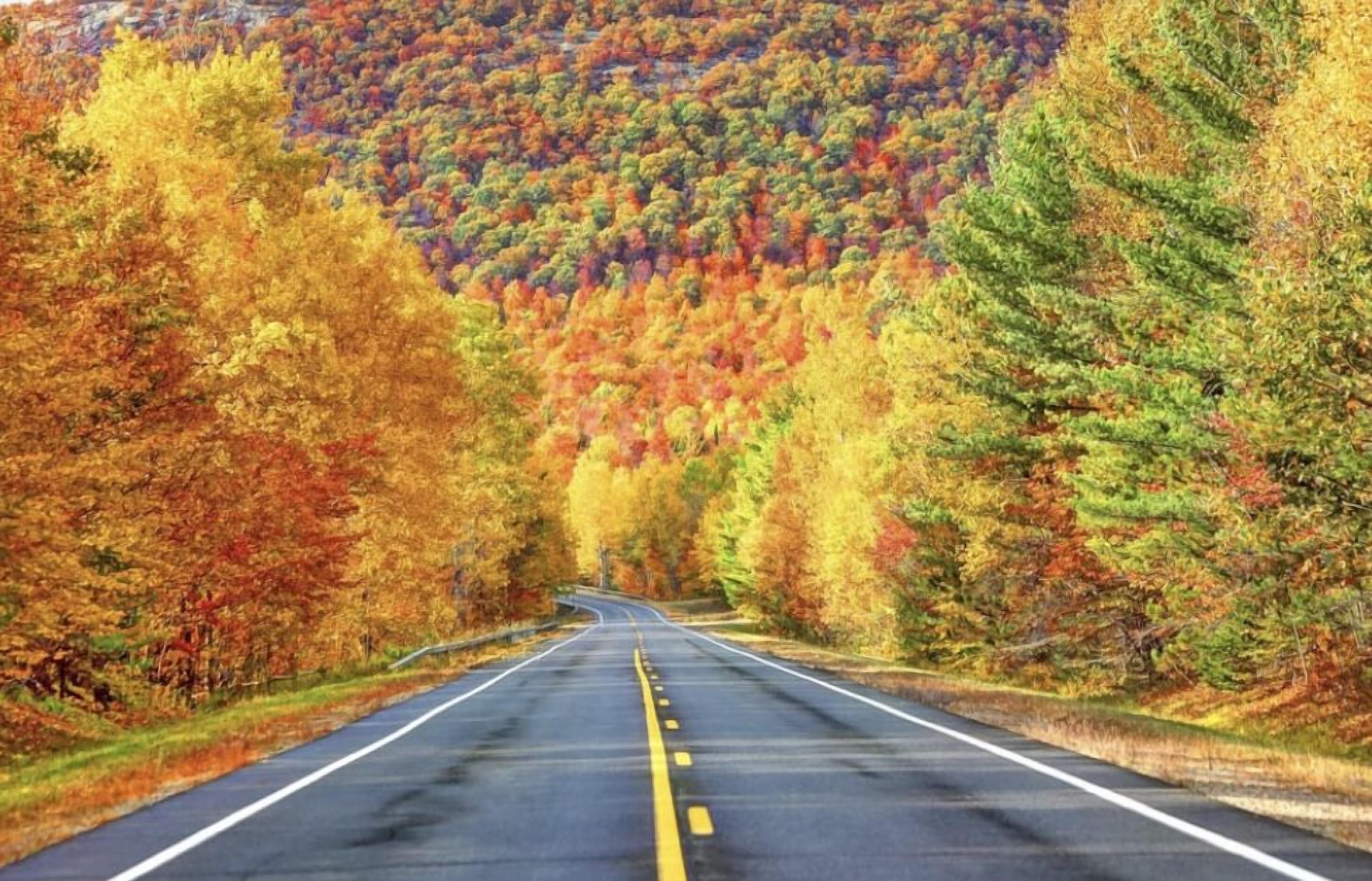 A road flanked by trees with autumn foliage.