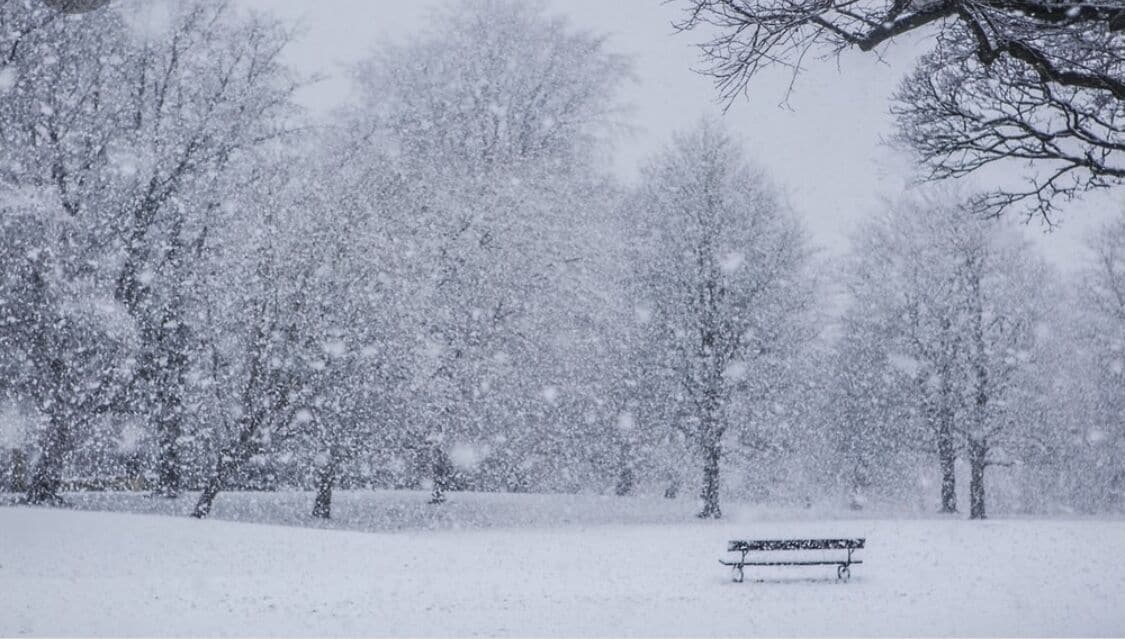 A bench in a park covered in snow.
