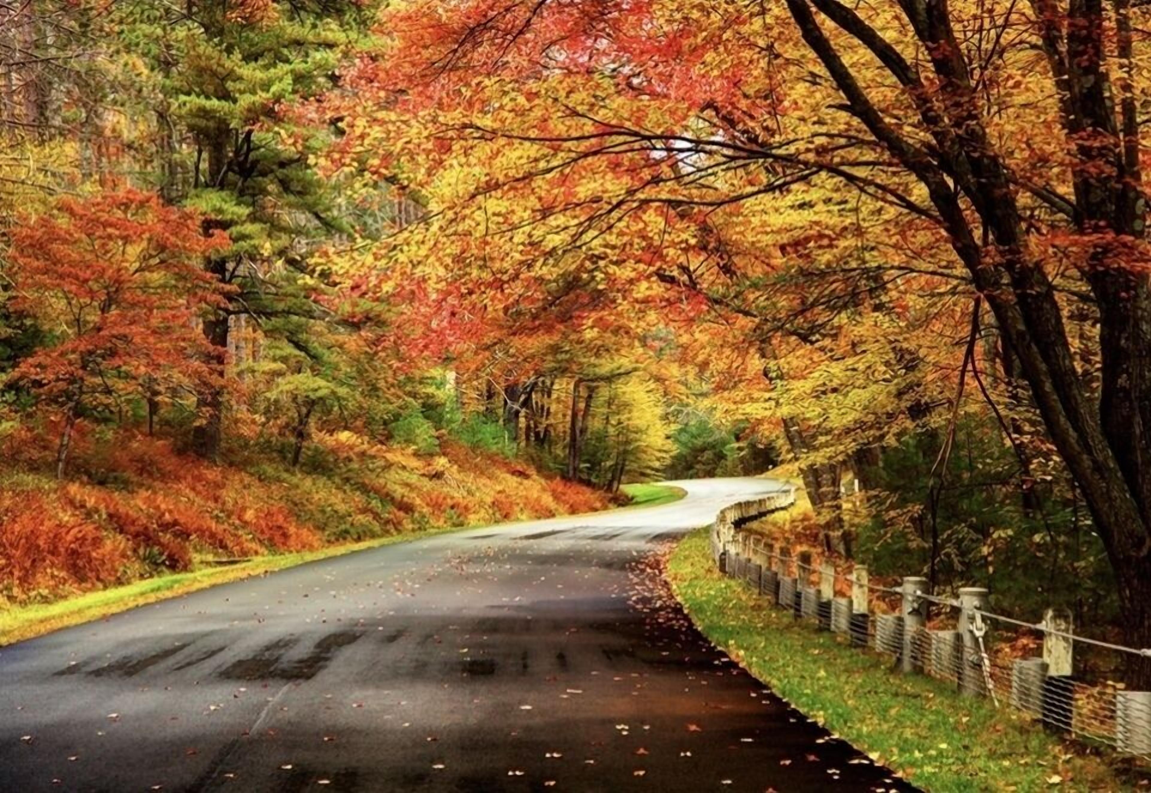 children’s activities