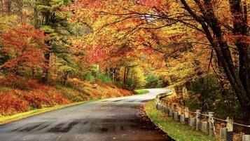 A winding road through a forest with autumn foliage.