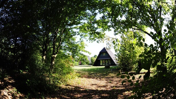 A cabin surrounded by dense forest, with a clear path leading to it. - Bungalow in Waldbrunn (Waldbrunn)