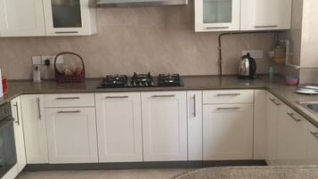 Fridge, oven, toaster, cookware/dishes/utensils