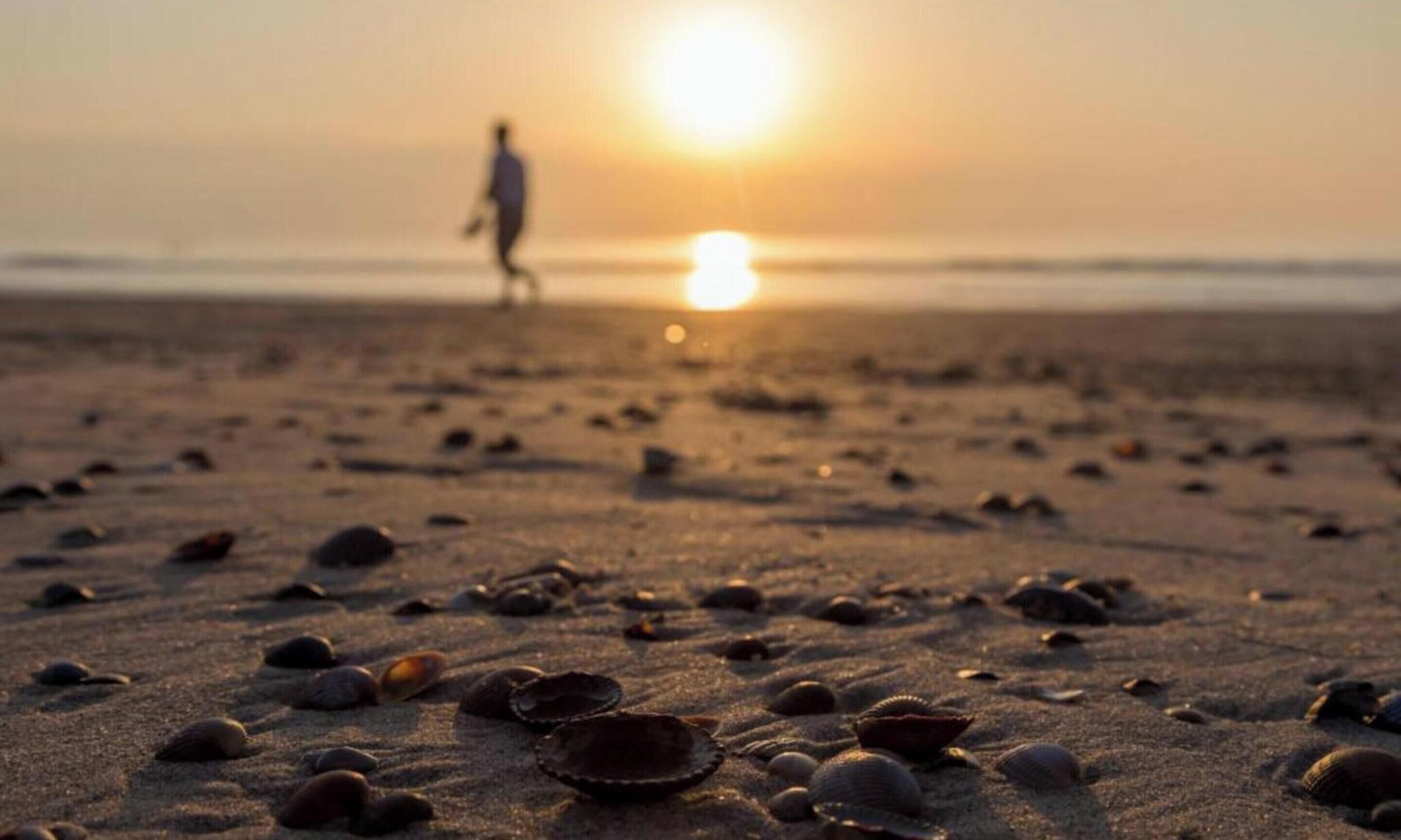 Eine Strandansicht mit verstreuten Muscheln und einer Person, die auf den Sonnenuntergang zugeht.