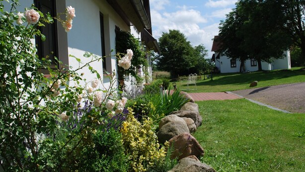 A building with a white facade, a stone pathway, and a well-maintained garden with various flowers. - Schones Ferienhaus in Dargun mit Pool (Dargun)