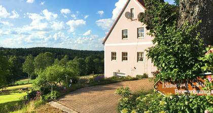 Spacious Apartment in Schonsee With Sauna