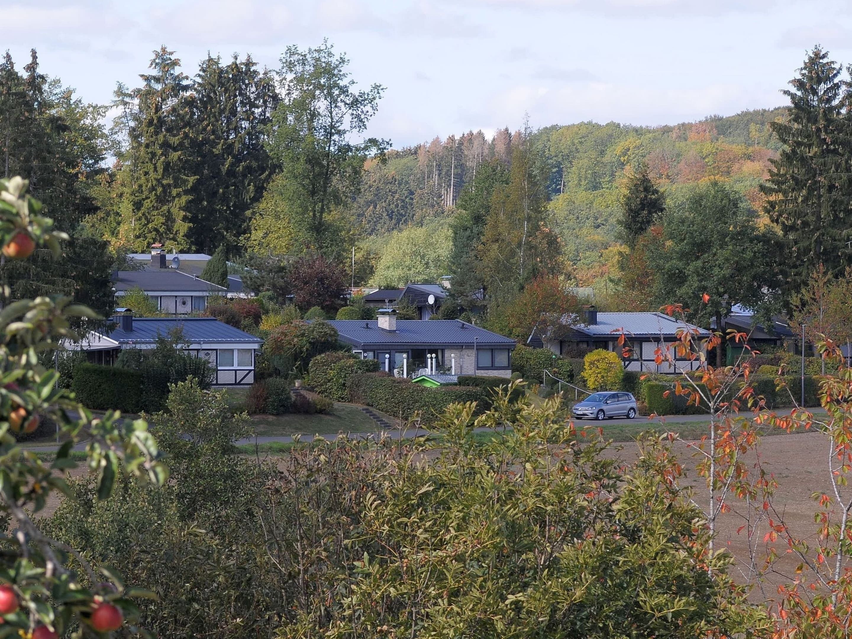 Un quartier résidentiel avec des maisons entourées d’arbres et une colline en arrière-plan.