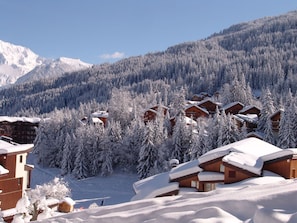 Exterior - Traditional Chalet in the Large 3 Vallées Near the Slopes (Courchevel)