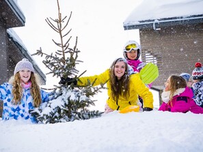 Snow and ski sports - Chalet in French Alps With Premium Comfort (Hauteluce)