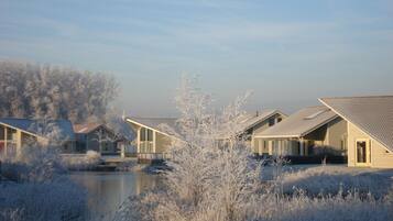 A row of houses with a body of water in the foreground, surrounded by frosty vegetation.